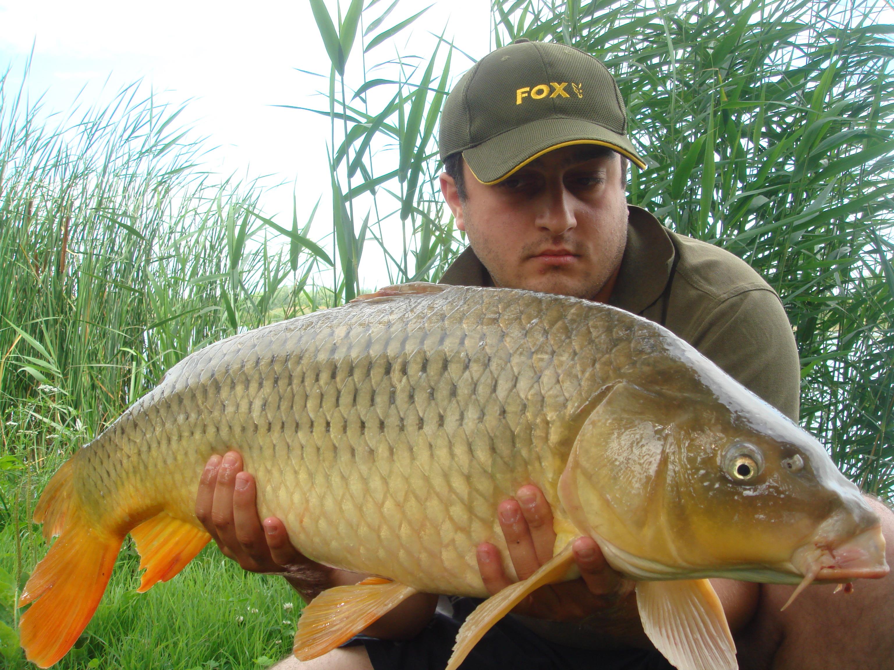 Nagykallo 2011 - DSC08469.JPG